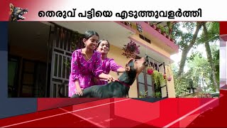 തെരുവുപട്ടിയെ ഏറ്റെടുത്ത് വളര്‍ത്തി , പക്ഷെ റിതികയും കീര്‍ത്തികയും വിഷമത്തിലാണ് | Mathrubhumi News