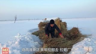 农民王小：30厘米厚大雪娘俩忙啥？2个猫头鹰围观，媳妇竟挨骂了