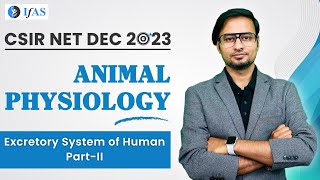 Animal physiology | Excretory System Of Human Part-2 |Target CSIR NET Dec 2023 | IFAS