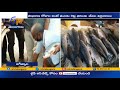 heavy rush at fish markets in view of mrigasira karthi across state