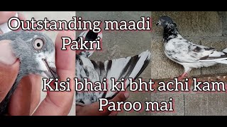 Outclass pathi pakri || bht e achi kam paro mai