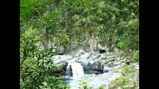 paysage de la reunion sur ti fleur fané