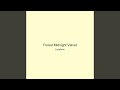 Forest Midnight Velvet