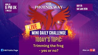 MINI LIVE CHALLENGE: Day 25: Trimming the frog - yes or no?