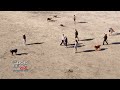 a happy day on🌴 dog beach in sunny san diego at super low tide for extra beach play extended cut