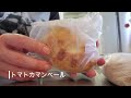 自宅でパリ気分！？焼きたてでちょっぴりお得もうれしいロスパンの世界。