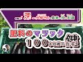 知らないと全滅。１００本収穫！７月からの支柱・脇芽を最大限に活かすナス栽培の害虫のコツ