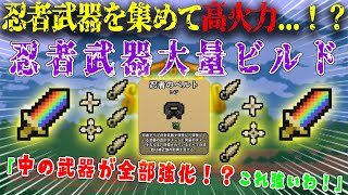 【衝撃】忍者武器大量で超火力アップ...！？忍者ビルドが強すぎた...！クナイ、手裏剣、忍ばない強さ！【Spin Hero】