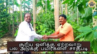 பல அடுக்கு பயிர்களை எப்படி சாகுபடி செய்யலாம் #ORGANIC FARMING #natural சூரிய ஒளியை பயன்படுத்தி