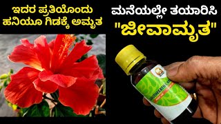 ಗಿಡಗಳಿಗೆ ಅಮೃತ ಈ ಜೀವಾಮೃತ ! ಇದನ್ನು ತಯಾರಿಸಿ ಗಿಡಗಳಿಗೆ ಹಾಕಿ ಅದ್ಭುತ ಪರಿಣಾಮ ನೋಡಿ Jeevamrutha Beejamrutha 👍