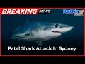 Multiple Beaches Closed Following Fatal Shark Attack In Sydney || Breaking News