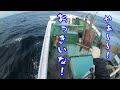 015 【特大マグロが釣れた！！】マグロ猟師目線！？大間のマグロはこうやって釣っていた！！