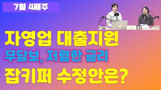 잡키퍼 수정안, 자영업 중소기업 대출 지원방안