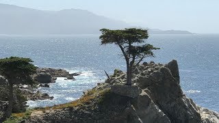 Monterey Bay, 17 mile drive, Pebble Beach, Carmel by-the-sea