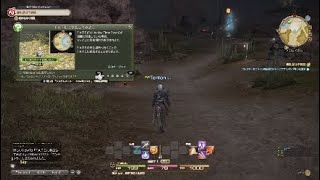 FFXIV初心者向け動画Part14  メインクエしながらF.A.T.E(フェイト)の説明