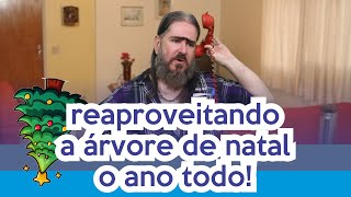 Reaproveitando a Árvore de Natal o Ano Todo (HUMOR) Chico da Tiana