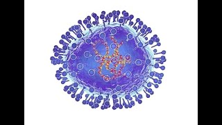 HMP (Human Metapneumovirus) What we know so far ?_Dr Pradeep Rangappa