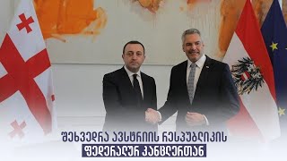 შეხვედრა ავსტრიის რესპუბლიკის ფედერალურ კანცლერთან