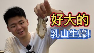 斥巨資網購了10斤 好大的生蠔！啊？為啥少兩斤