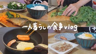 自炊を頑張った日の一人暮らしの1日の食事🍚【日常vlog】