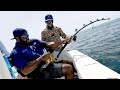 Monster Goliath Groupers with NFL Linebacker Sam Barrington 2