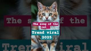 Meow song for cats 2025     #music #kittten #dance #cat #catsong