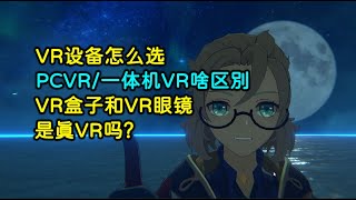 VR设备怎么选 | PCVR和一体机VR有啥区别 | VR盒子和VR眼镜是真VR吗？