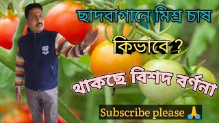 ছাদ বাগানে সাথী ফসল বা মিশ্র সবজি চাষ পদ্ধতি Mixed farming cultivation