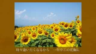 ひまわり（sunflower）2014