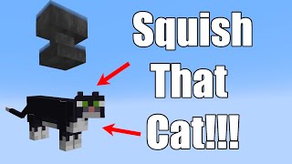 Squish That Cat! - Minecraft Parody of a Parody