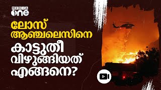 വർഷംതോറും കാട്ടുതീ, അവസാനിക്കാത്ത വിപത്തുകൾ; ദുരിതം പേറി കാലിഫോർണിയ | California fire #nmp