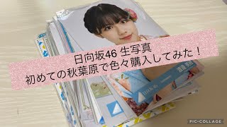 日向坂46 生写真 秋葉原 購入品 開封 紹介