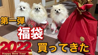 2022初売りで犬の福袋を購入し開封！遊ばせてみた結果…