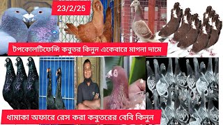 ফিরোজ ভাইয়ের খামার থেকে টপ কোয়ালিটি ফেন্সি এবং রেসার কবুতর কিনুন একেবারে পানির দামে না দেখলেই মিস