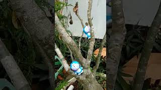 mencari mainan doraemon ternyata sedang memanjat pohon