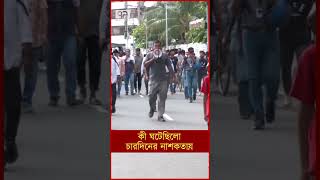 কী ঘটেছিলো চারদিনের নাশকতায়