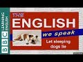 Let sleeping dogs lie: The English We Speak