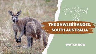 The Gawler Ranges, South Australia