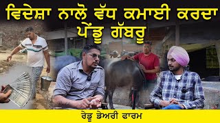 ਵਿਦੇਸ਼ਾ ਨਾਲੋ ਵੱਧ ਕਮਾਈ ਕਰਦਾ ਪੇਂਡੂ ਗੱਬਰੂ  / ਪੰਜਾਬ ਤੇ ਹਰਿਆਣੇ ਚ ਚੱਲਦਾ ਨਾ @RedduDairyFarm Dairy Farming
