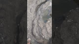 Kukadi river basin Nighoj-- The formation of rocks by flowing water II