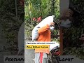 Persiapan Aplikasi Dolomit Pada Kebun Durian