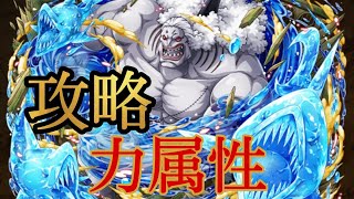 “トレクル”ホーディ力属性【ONE PIECE】(OPTC)