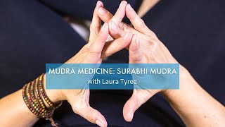 Mudra Medicine: Surabhi Mudra with Laura Tyree | Yoga Anytime