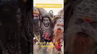 Aghori Baba-55 | Mahakumbh #shorts #india  #short #prayagraj #mahakumbh2025 #aghori #youtubeshorts