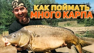 КАК ПОЙМАТЬ МНОГО КАРПА. Карпфишинг в завоз. Бигфиш.