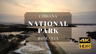 Comana Natural Park 🇷🇴 CINEMATIC Drone footage 4K 🎬 DJI Mavic Air 2