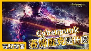 電馭叛客也就是賽博龐克Cyberpunk是什麼?美術風格?故事類型?今天為你解答【次元圖書館】【賽博龐克】【電馭叛客】【Cyberpunk】