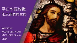 2023.4.5 圣周星期三，主徒会.张思谦蒙席主祭 Mandarin Mass celebrated by Msgr Peter, CDD