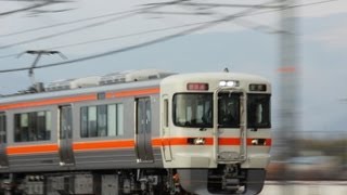 JR東海313系5000番台（Y116編成）＋300番台　新快速　豊橋行き　大垣～垂井