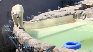 20190504:今日の円山動物園